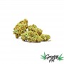 Growing Art Tropical Cannabis Light Legale 1 gr