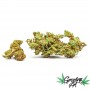 Growing Art Piranha Cannabis Light Legale 5 gr