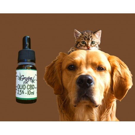 Growing Art CBD Oil 2,5% di Cannabis Light Legale 10 ml