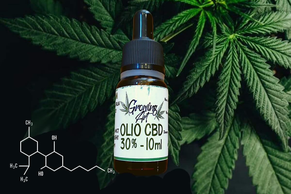 growing art olio cbd 30 per cento cannabis light canapa legale blog