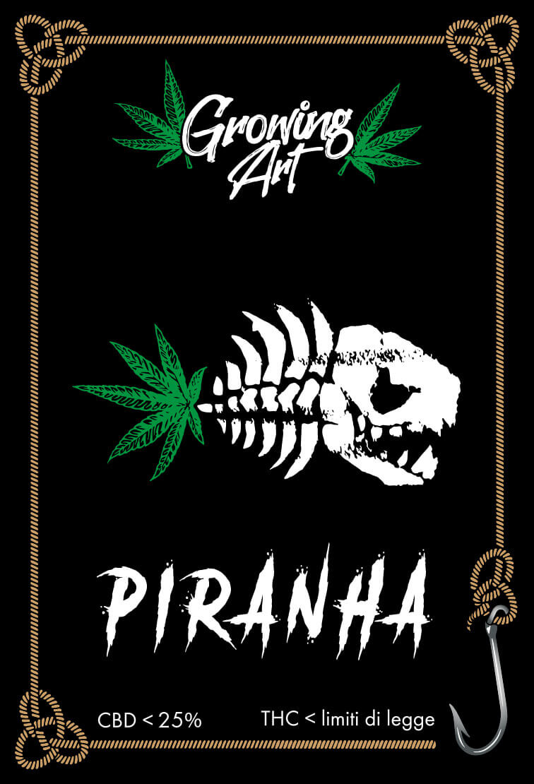 Cannabis light legale cbd - Rrowing art piranha etichetta