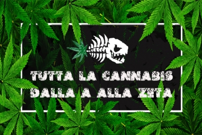 Glossario della Canapa: Tutta la cannabis dalla A alla Zeta